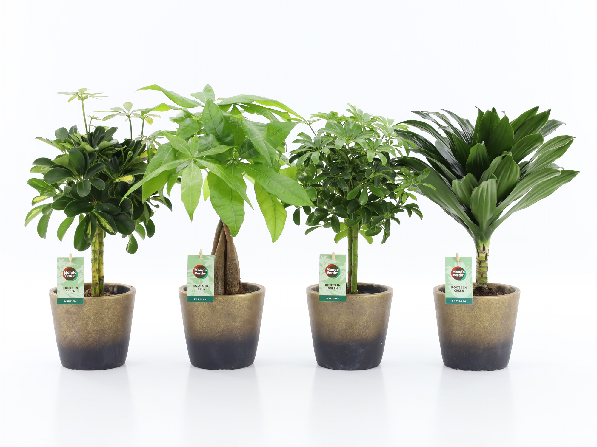 Stammenmix in Lunar keramiek, D 13