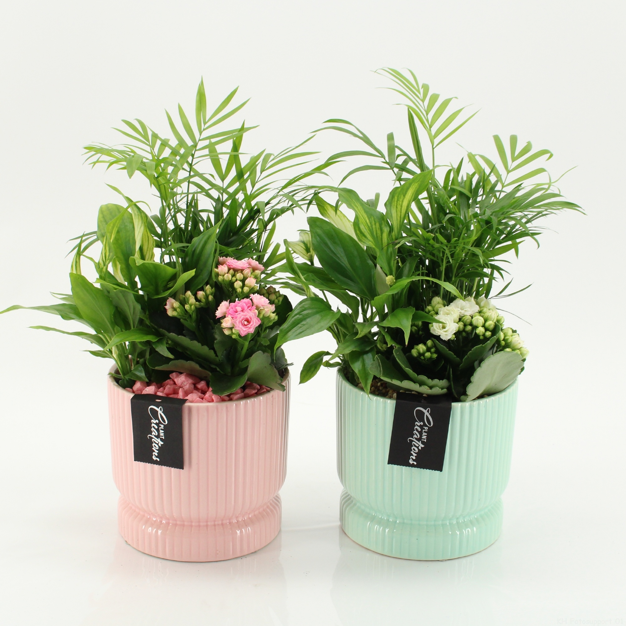 RECR-2615M Rentree, D 14