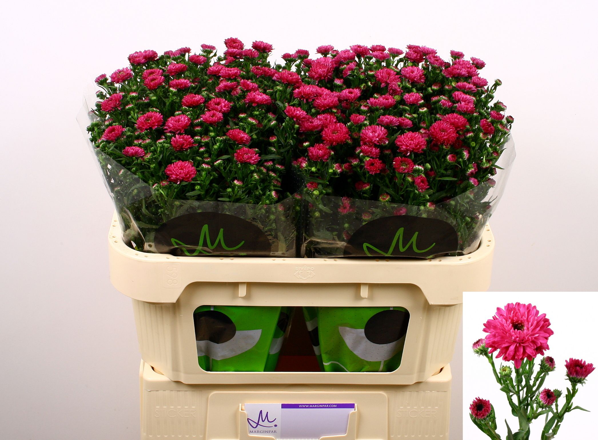 Астер Флэш 70, шт.