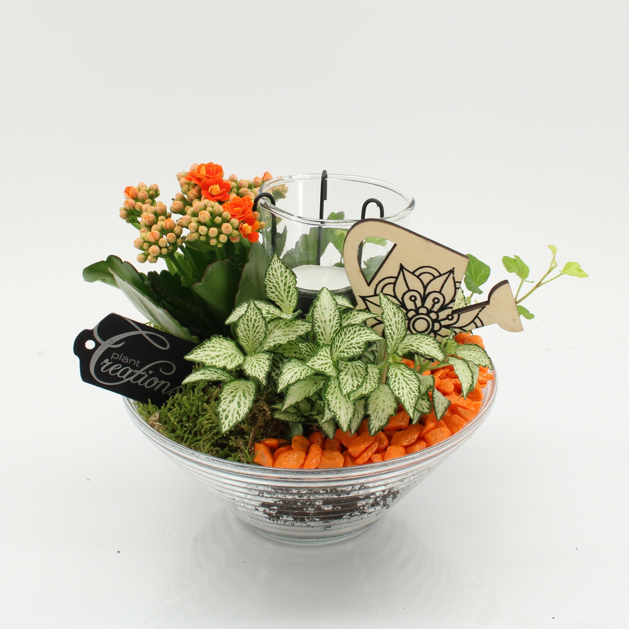 FDCR-2603OR Basic Fundamentals, D 20