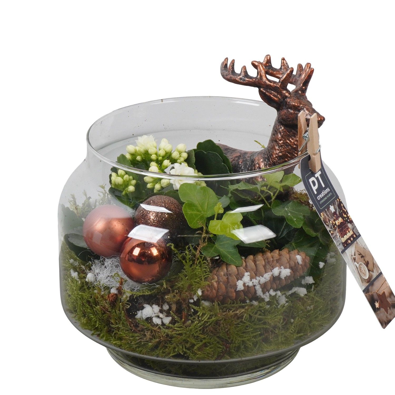 PTCHB9864 Arrangement Christmas Bronze in glazen pot, D 16 cm