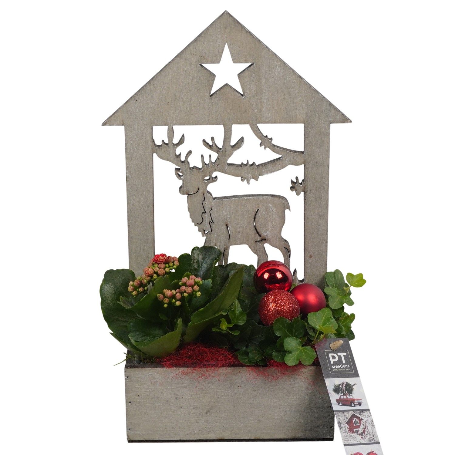 PTCHR7408 Arrangement Christmas Red in houten pot, D 16 cm