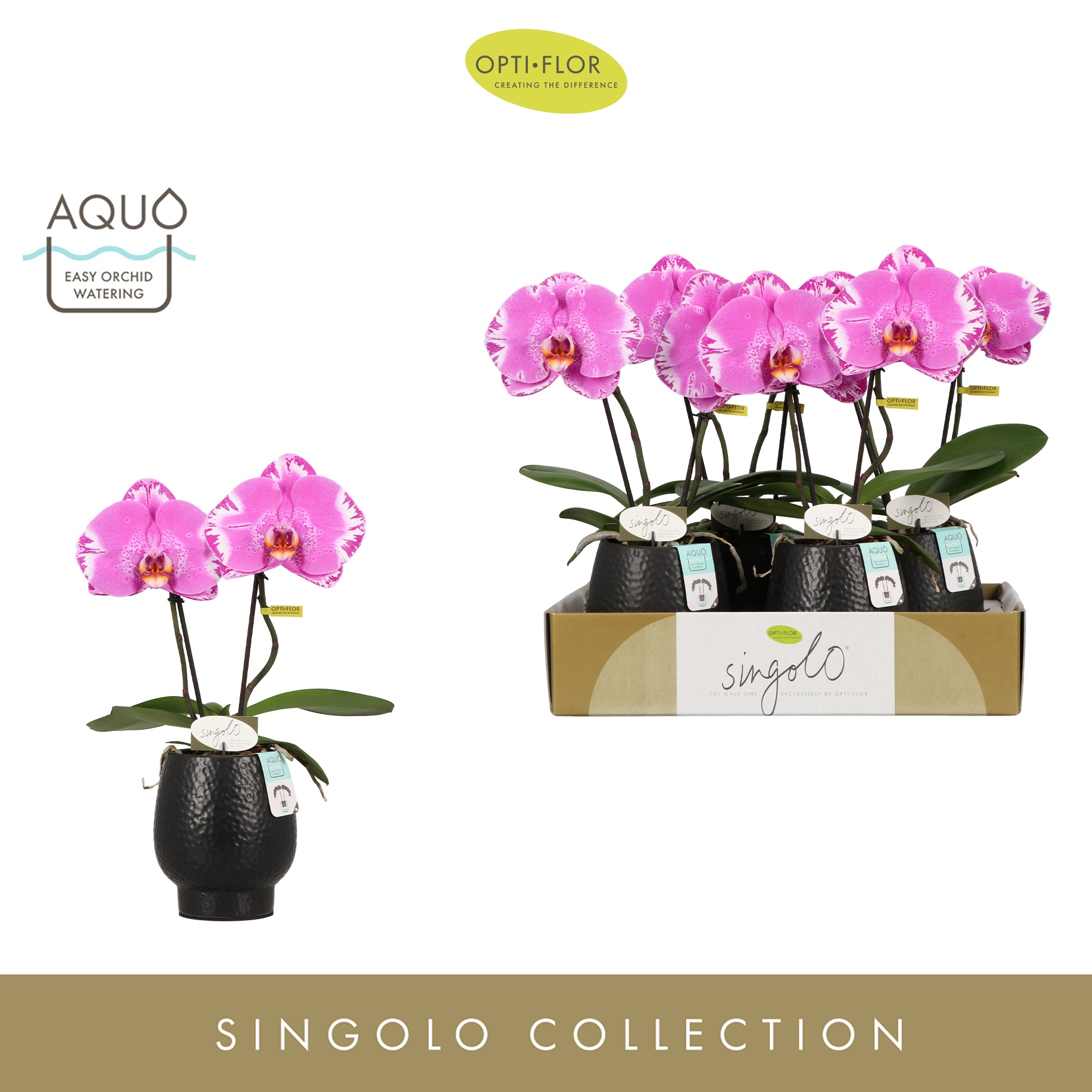 Singolo & Co Victorio in Abruzzo Black Aquo, D 9 cm