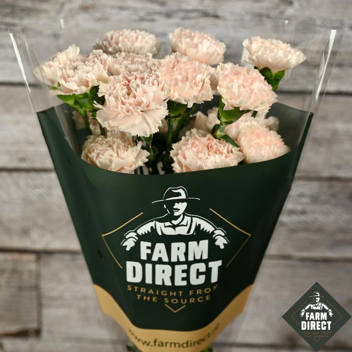 Диантус од. Ханой (светло-роз.), шт.