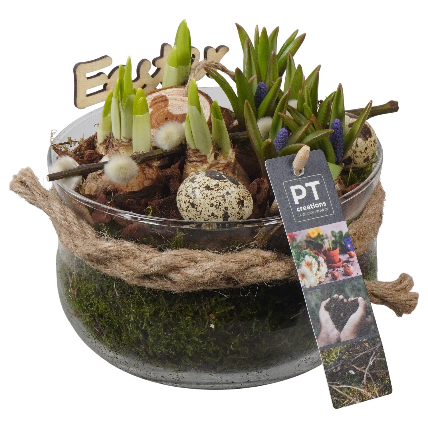 PTBMP5759 Arrangement Easter Bulbs Mix in glas schaal, D 16