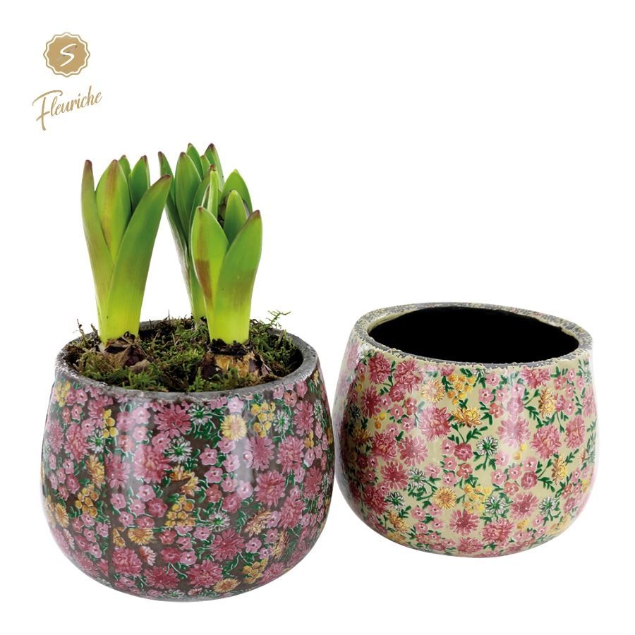 (3603) Hyacint Late Fashion [L] 3PP Mos, D 15 cm