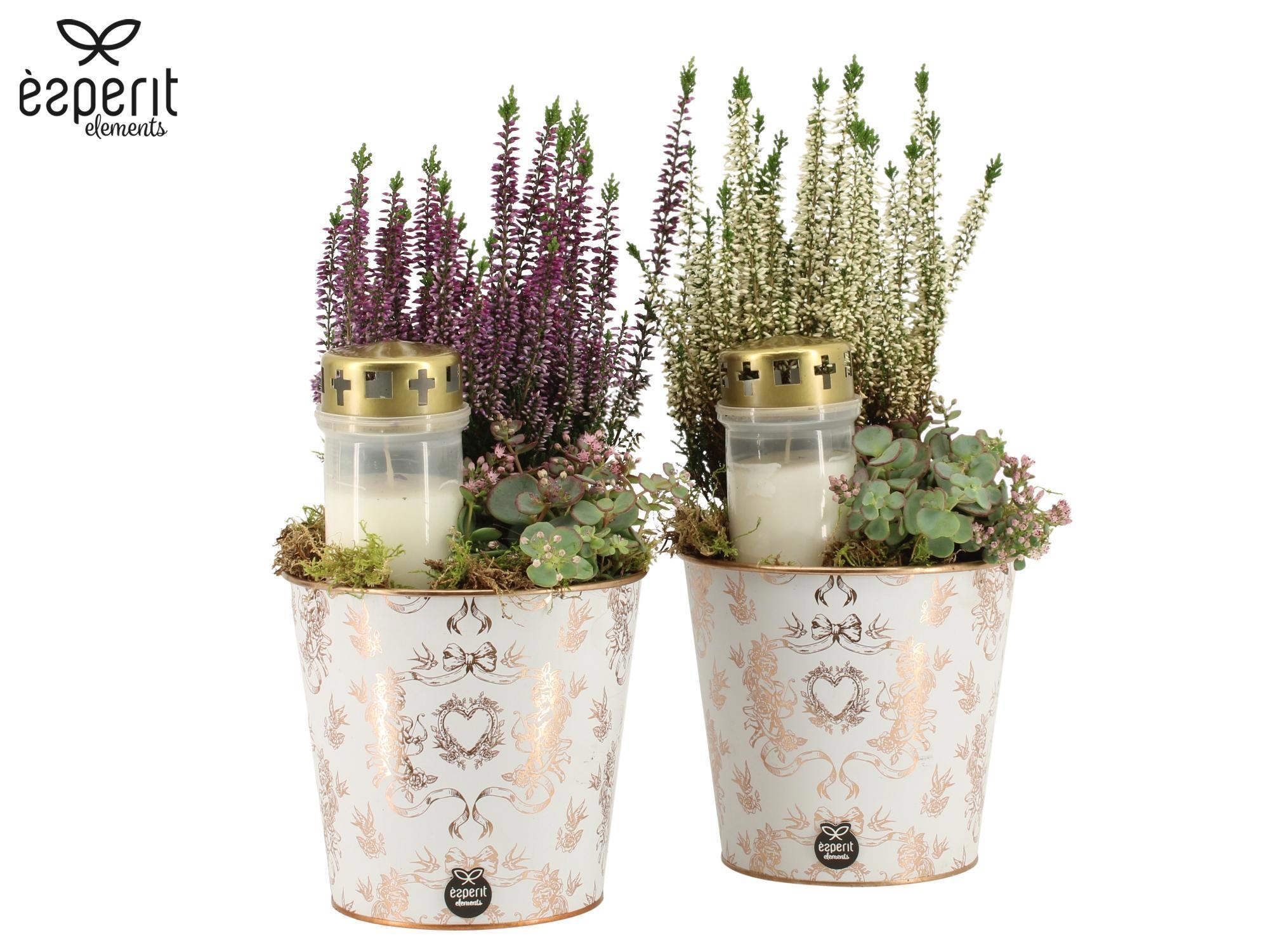 41847: All Saints arrangement, D 16