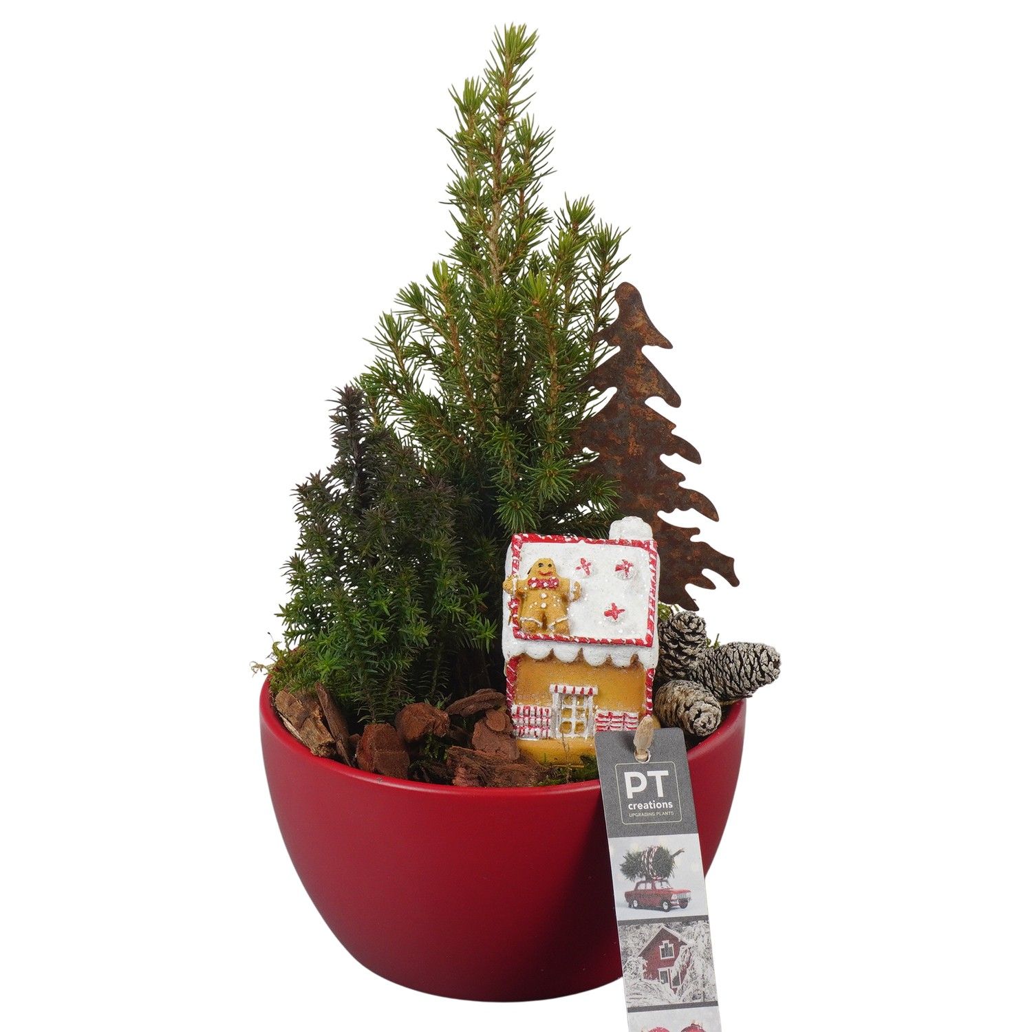 PTCWW6916 Arrangement Winter in keramiek schaal, D 15 cm