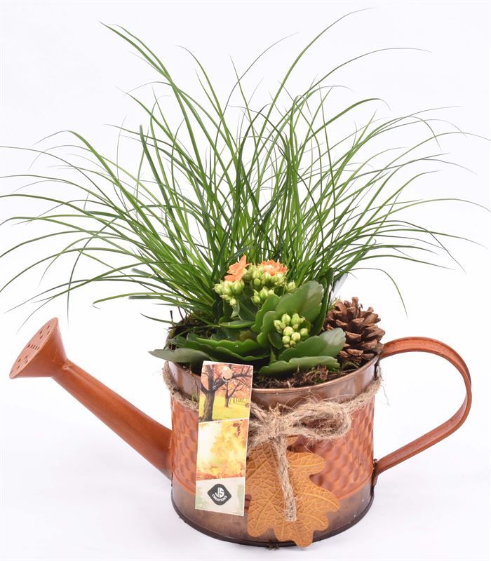 Zink gieter met herfst blad 12cm, D 13