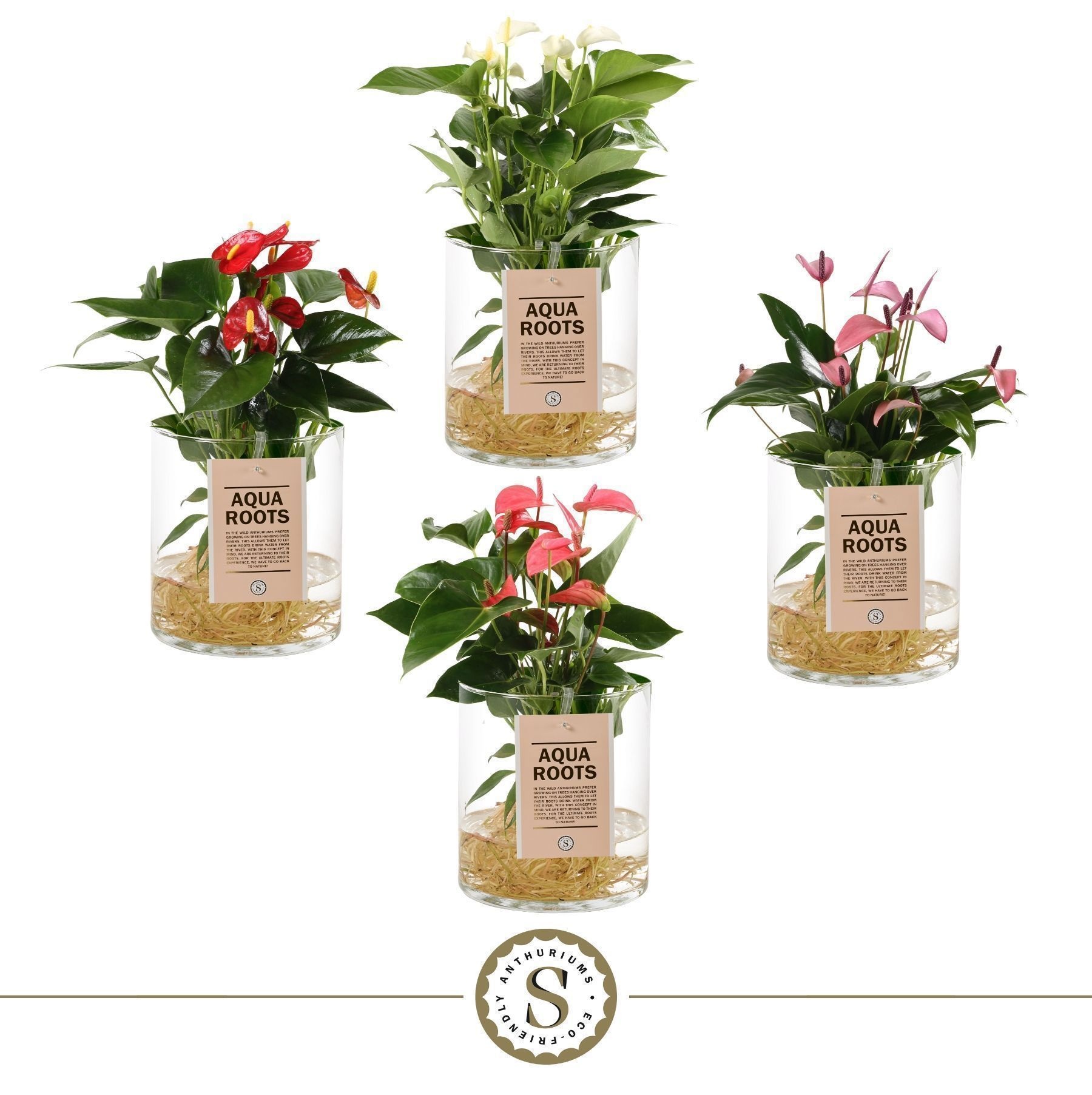 Aqua Roots Cilinder Mix, D 12