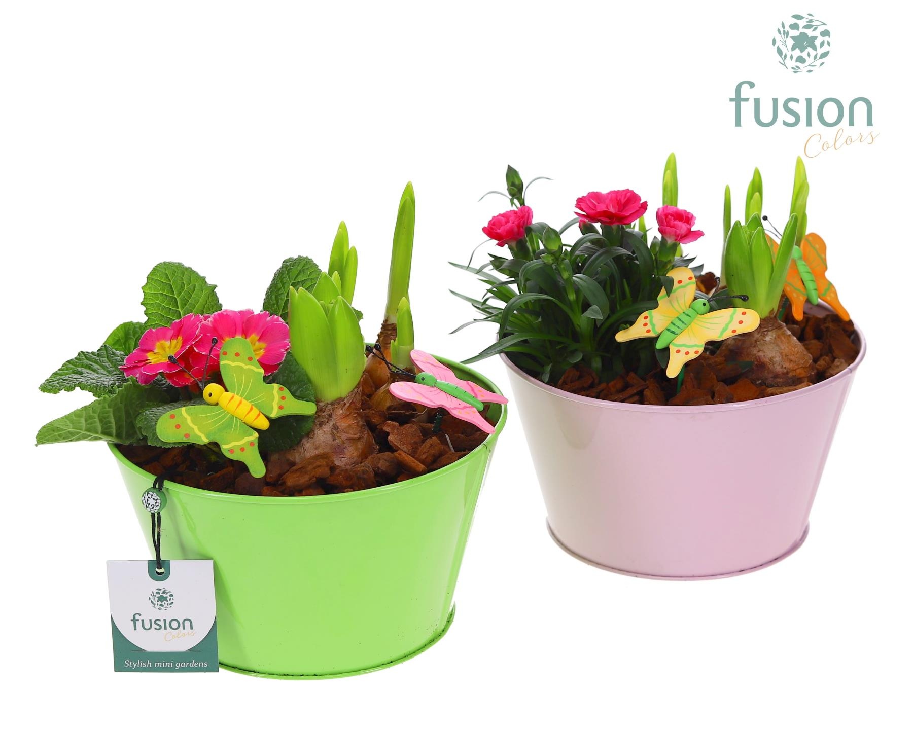 Zink schaal voorjaar div.kleuren met arrangement, D 18 cm