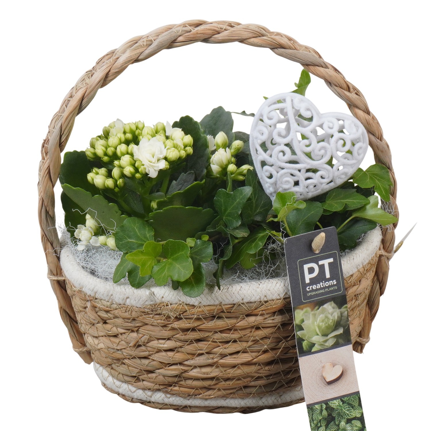 PTVMB2338 Arrangement Valentines-Mothersday in riet mand, D 17