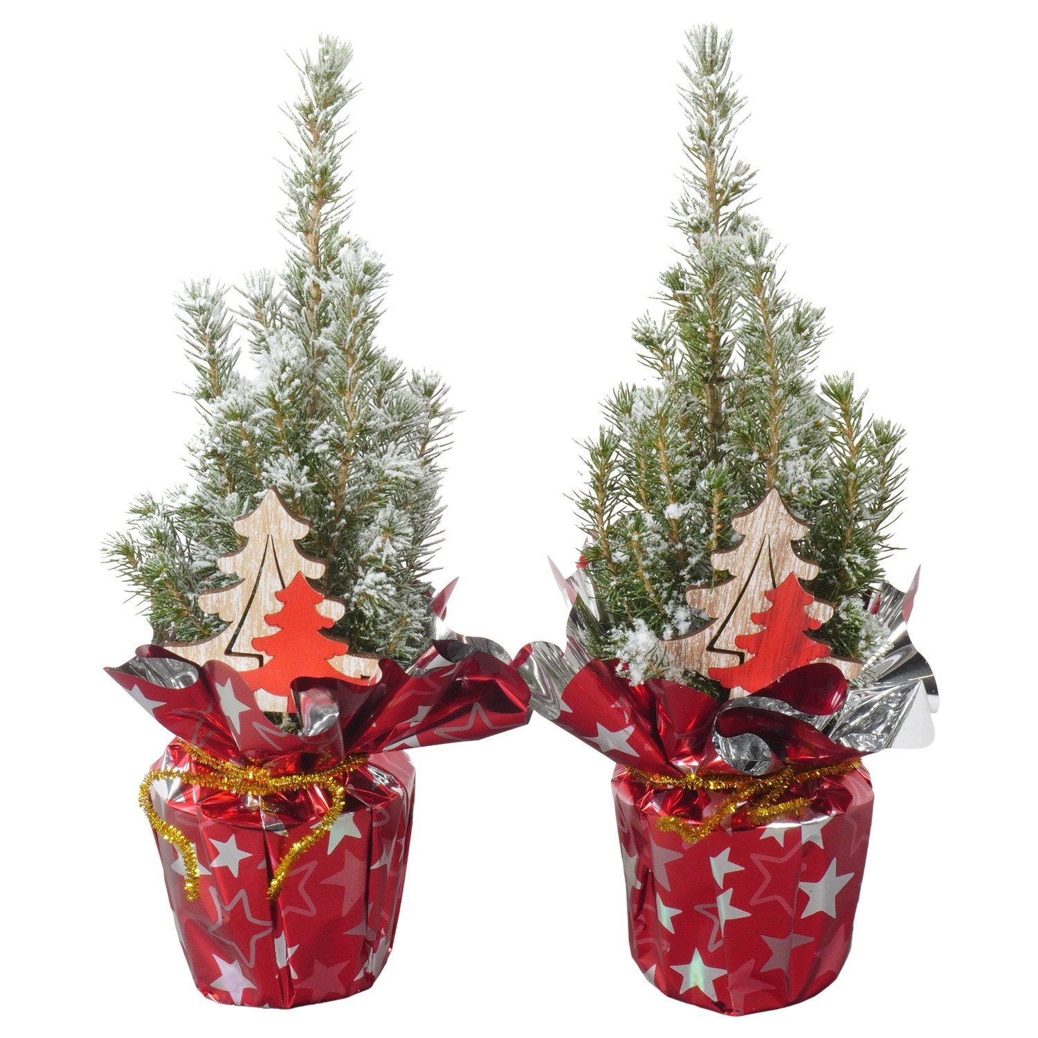 PTK26106 Conica Perfecta met sneeuw in rondella folie met decoratie, D 9