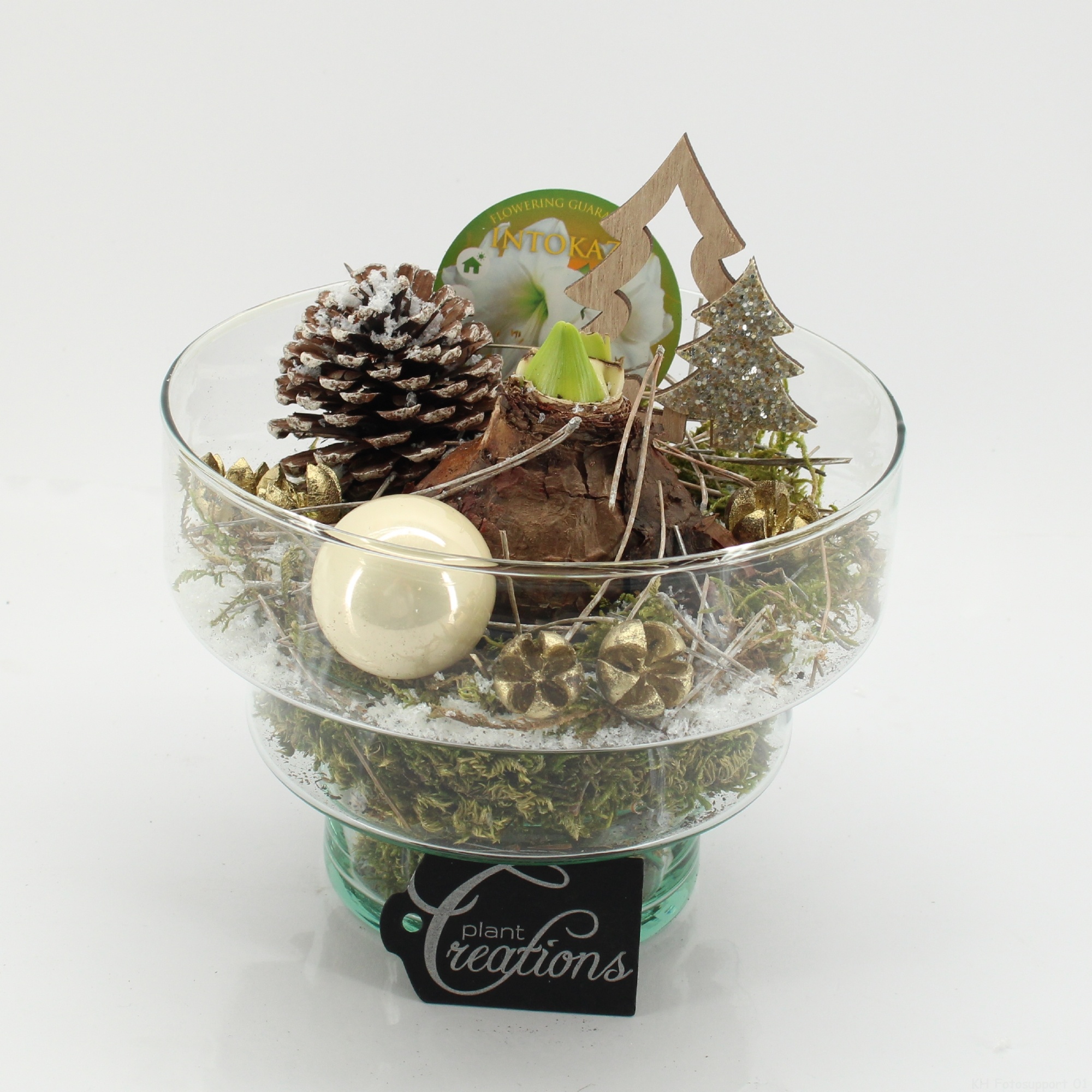 HICR-2508W Kerst Amaryllis, D 17 cm