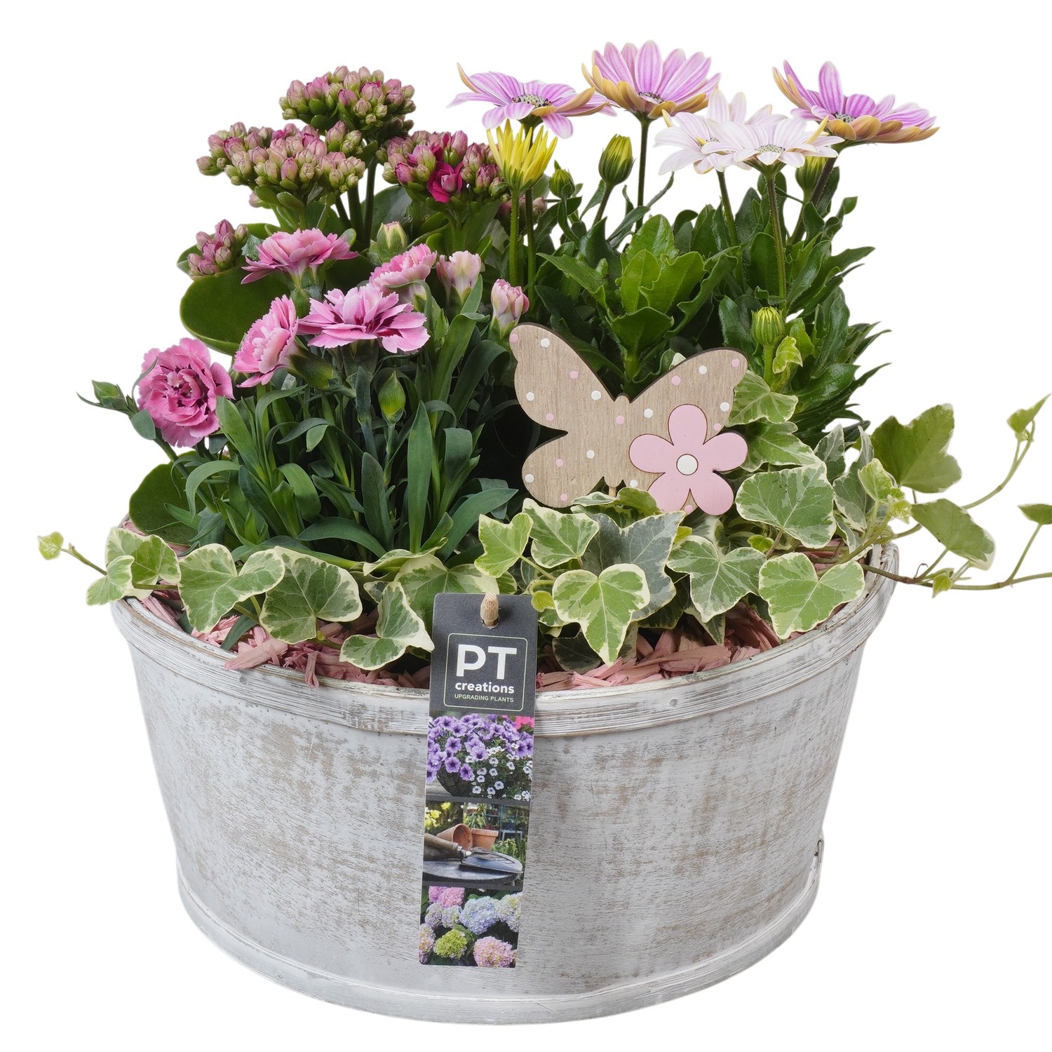 PTPP7011 Arrangement Patio in houten bak, D 25