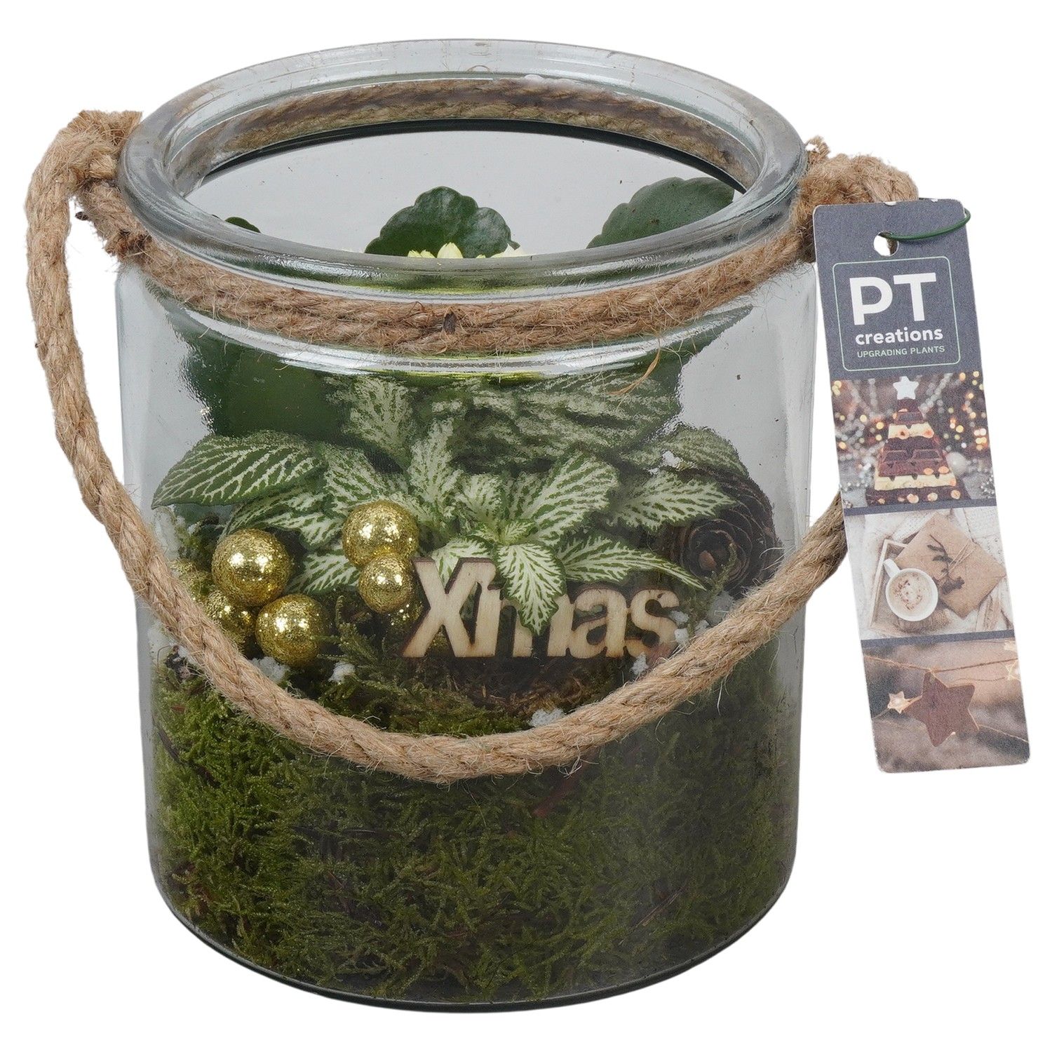 PTCHG5735 Arrangement Christmas Gold in glazen pot, D 14 cm