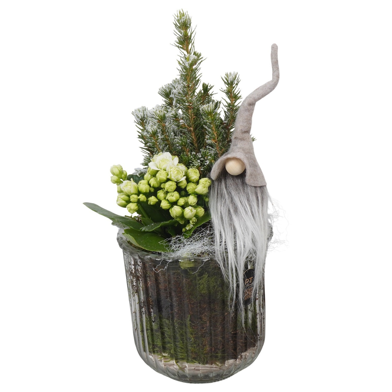 PTCHB5804 Arrangement Christmas Bronze in glazen vaas, D 12