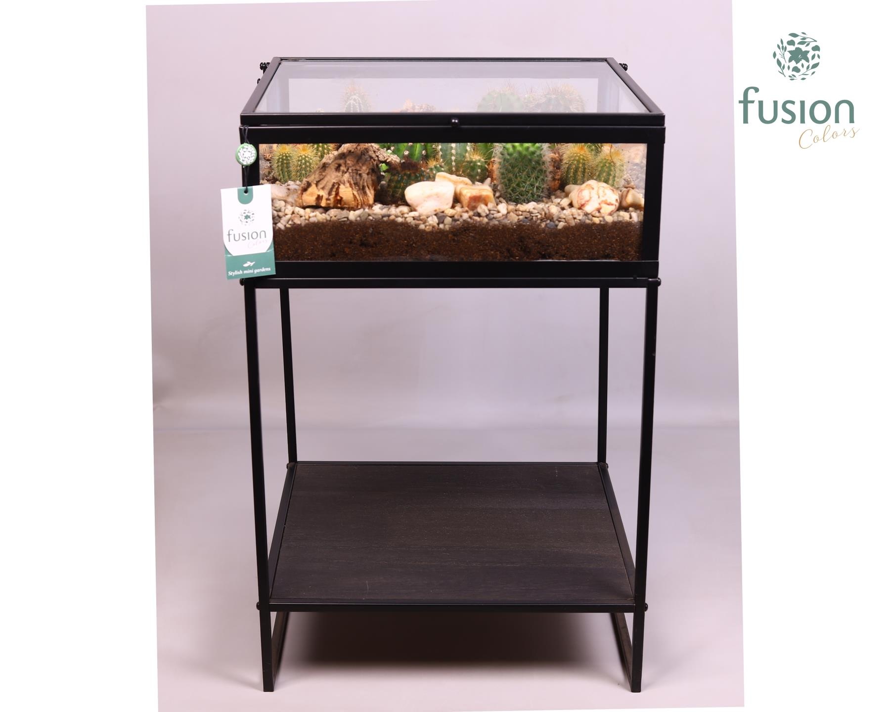 Metaal tafel met Cactussen arrangement, D 28