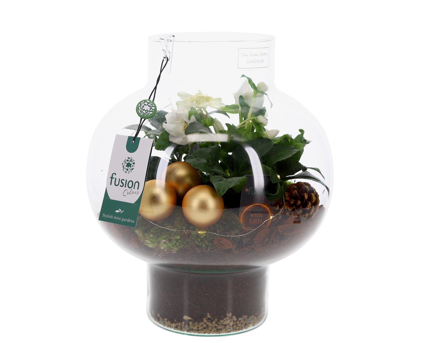 Green Bottle Laura Medium met Kerstarrangement, D 26 cm Green Bottle Laura Medium met Kerstarrangement, D 26 cm