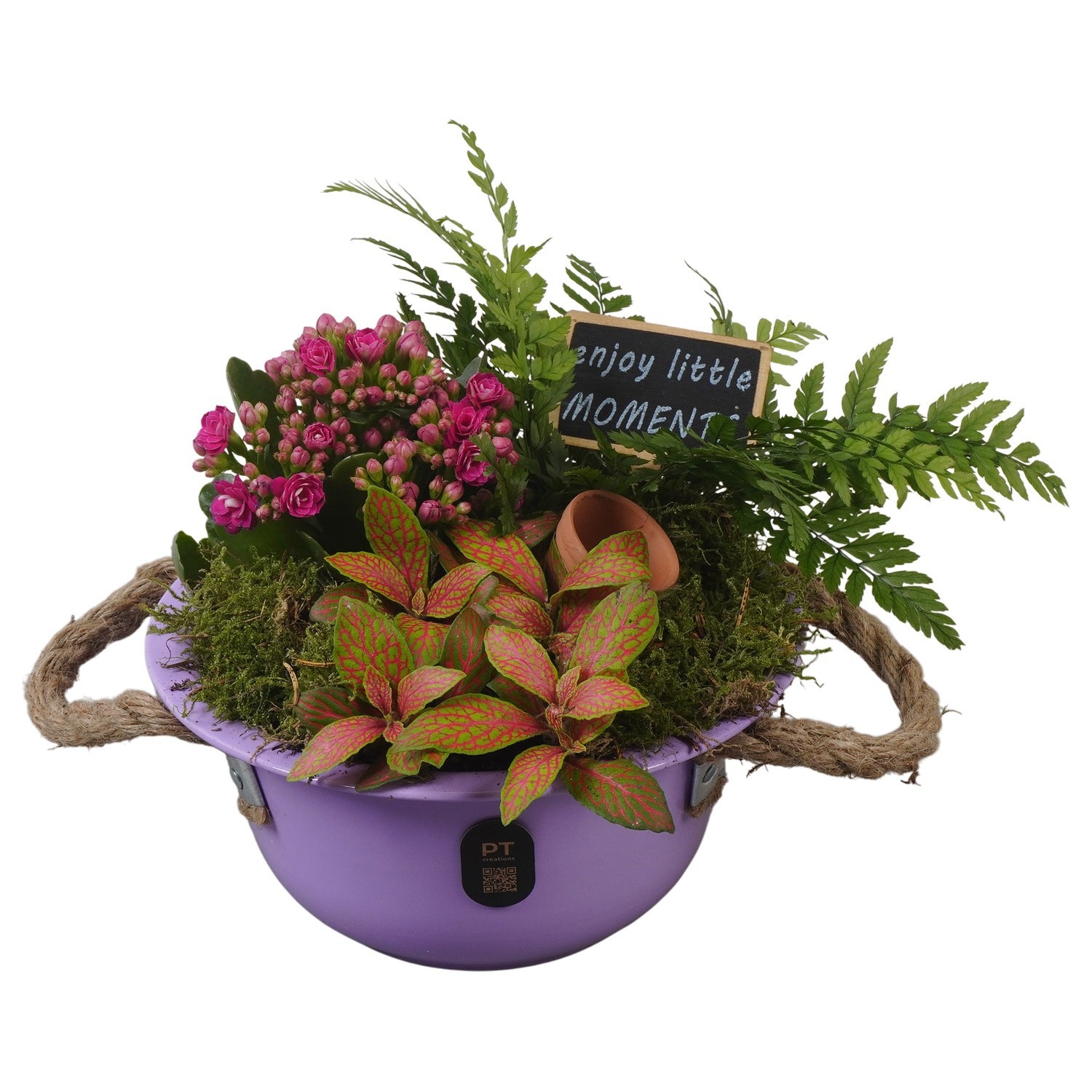 PTIB5322 Arrangement Indoor in metalen schaal, D 18