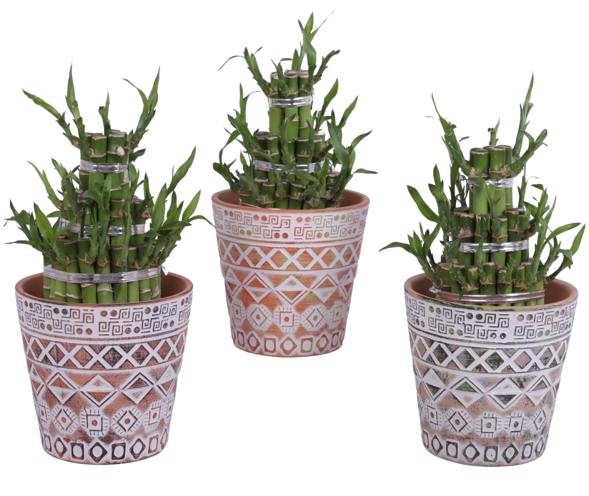 Lucky Bamboo Shape Round 3B Ø14cm Ceramic Pot Maya, D 14