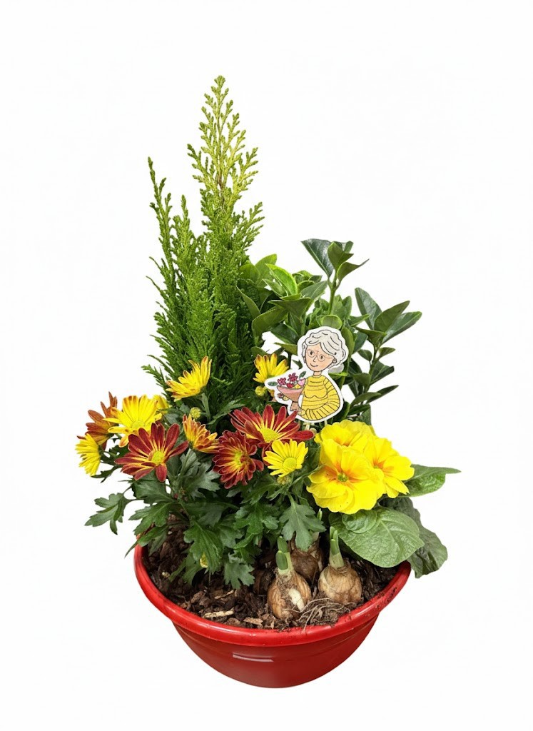 Buitenschaal arrangement GM3 Middel Rood, D 27