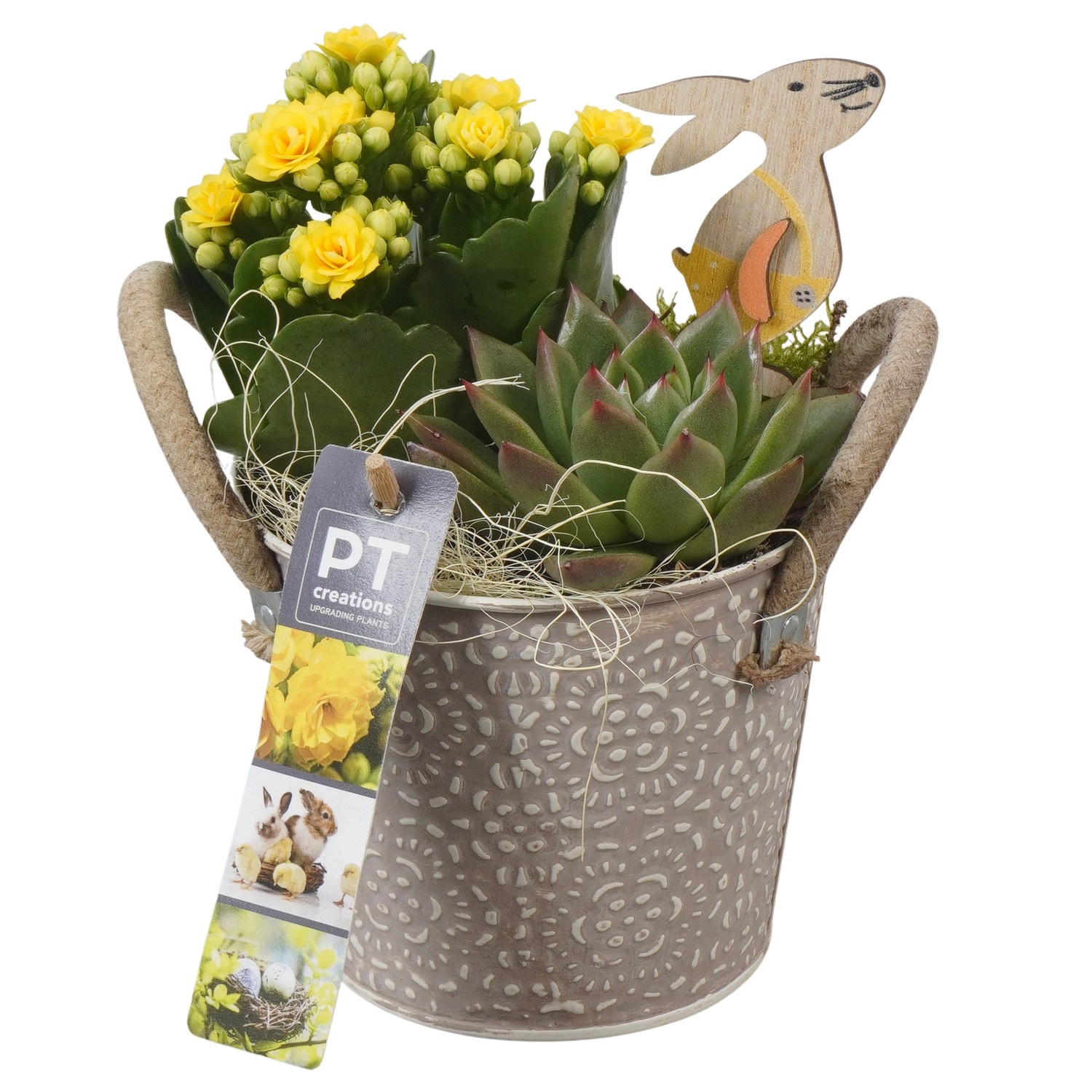 PTPB6445 Arrangement Easter in zink pot, D 12