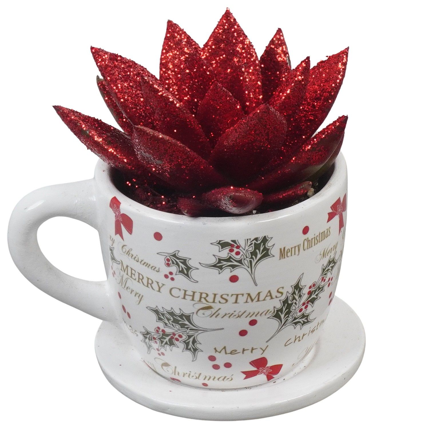 PTCHR7285 Arrangement Christmas Red in keramiek pot, D 8 cm