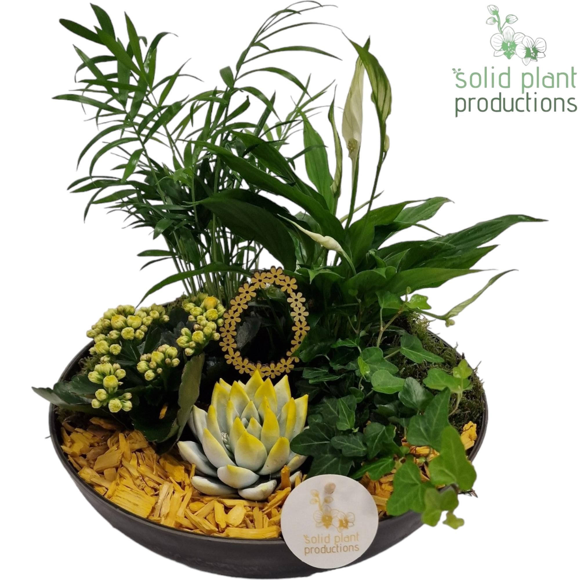 SCE011 Artstone Easter Yellow, D 30