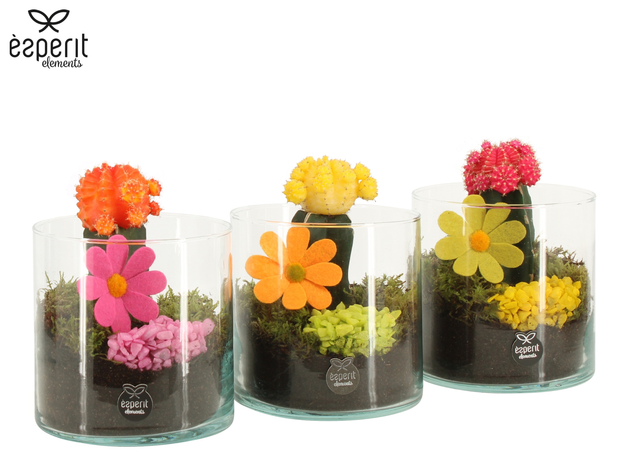 31741: Reinvention arrangement, D 12