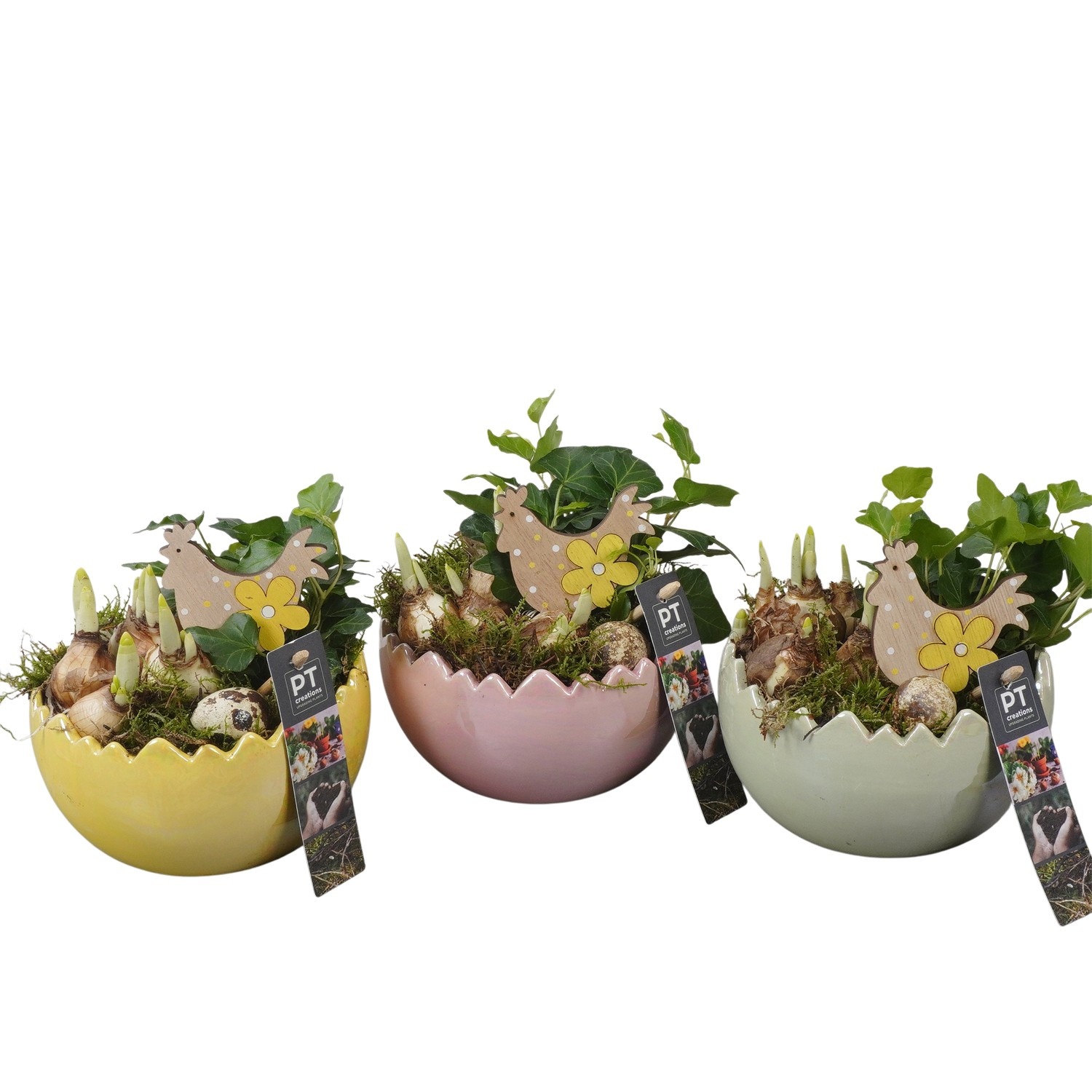 PTBMP5737 Arrangement Easter Bulbs Mix in keramiek ei, D 15