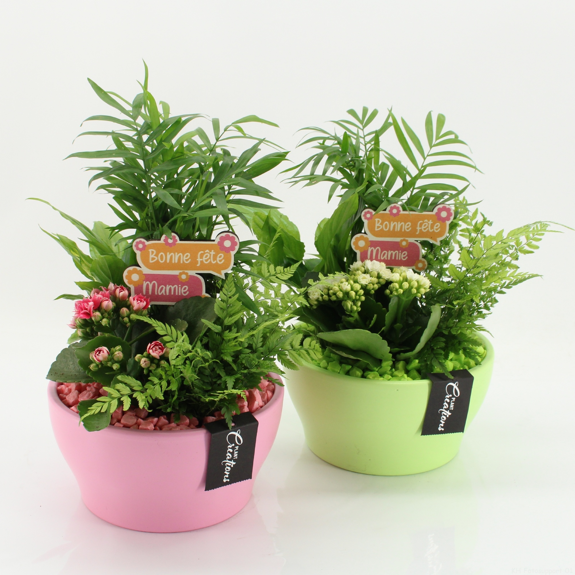 FGCR-2617M Fête des grands-mères, D 19