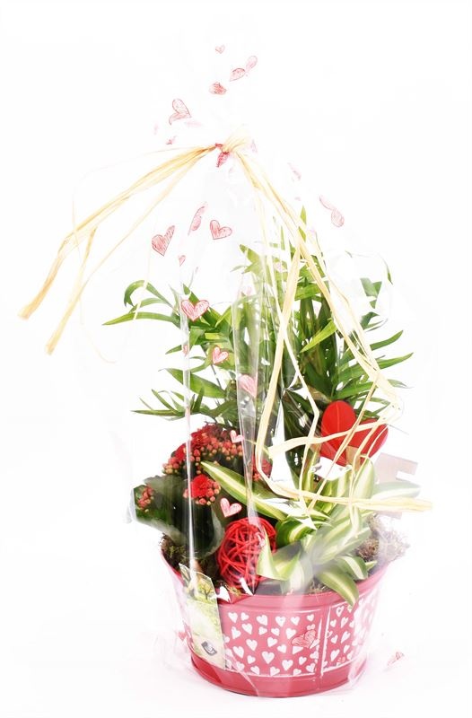 Zink schaal hart decor 16cm, D 16