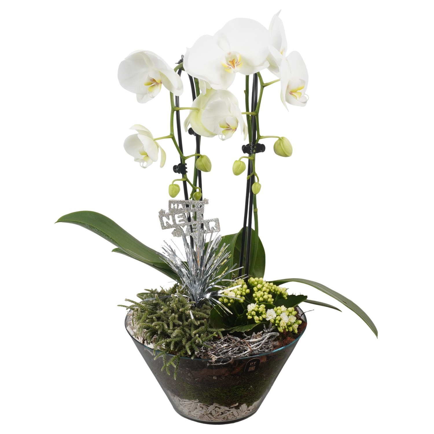 PTON6729 Arrangement New Year in glas schaal, D 26