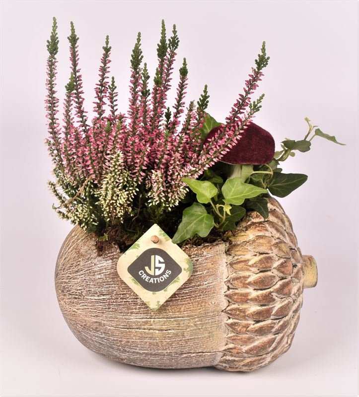 Cement eikel bruin 23x17cm, D 20 cm Cement eikel bruin 23x17cm, D 20 cm