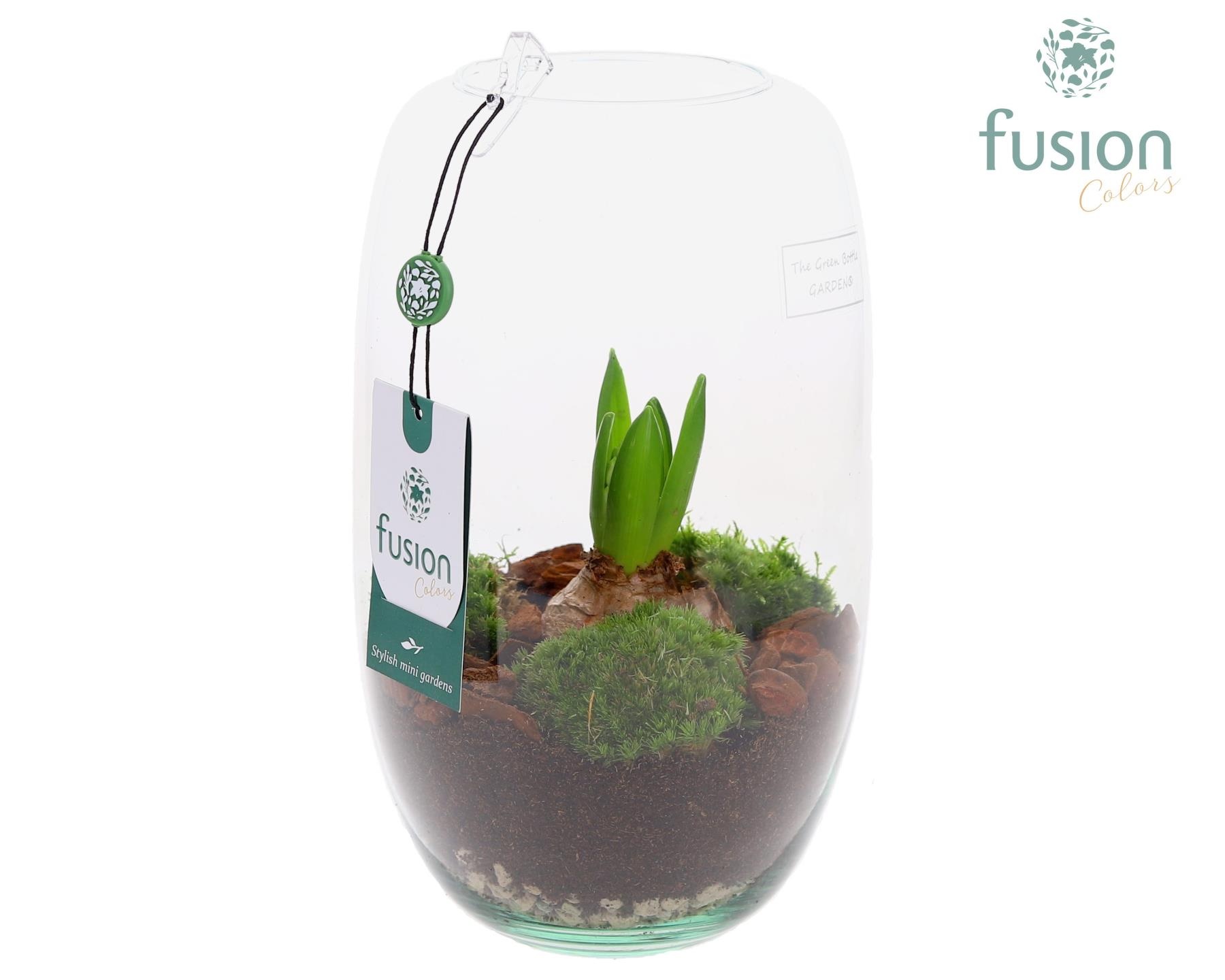 Green Bottle Isabella Medium met Hyacinten, D 15