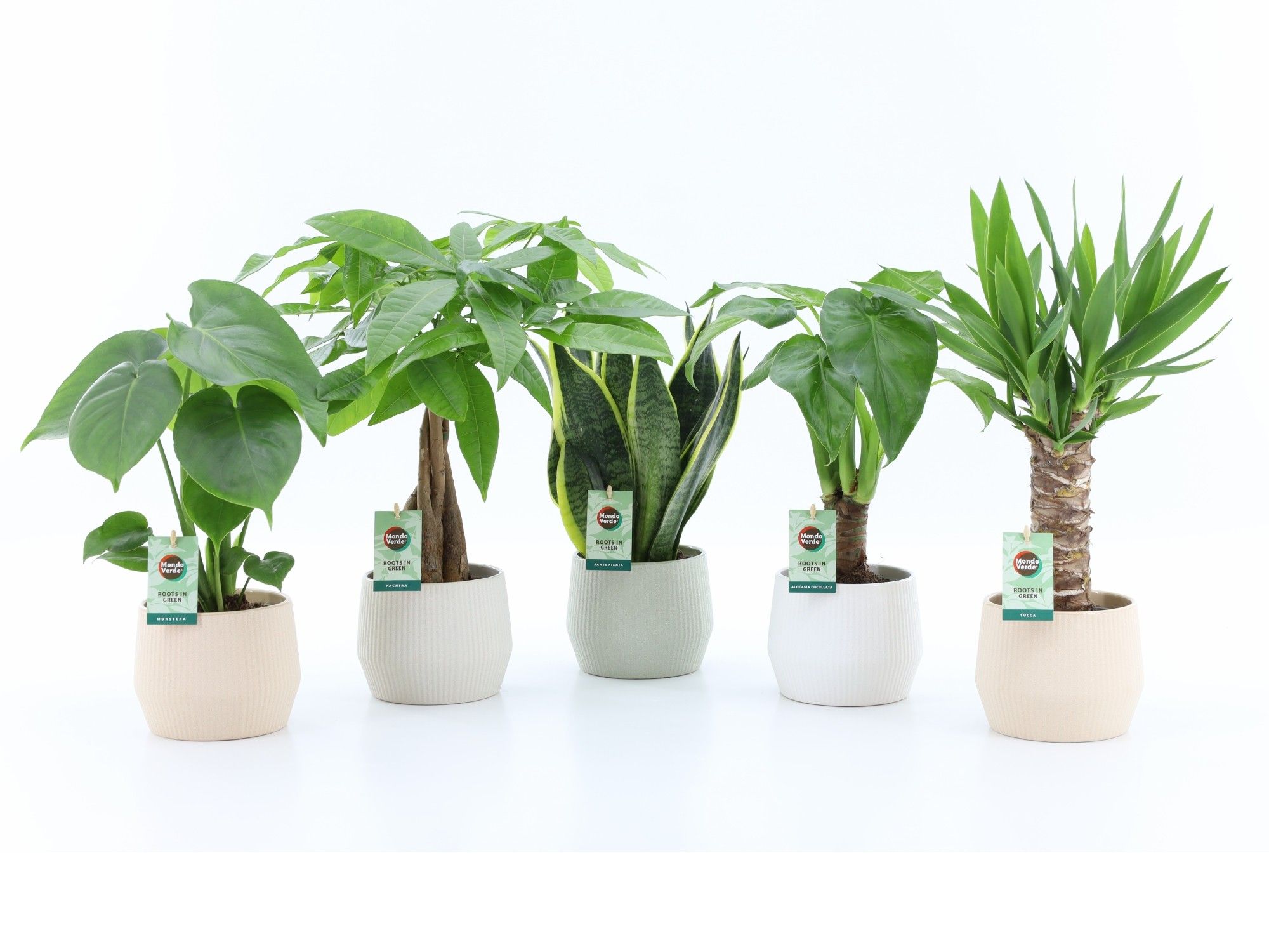 Tropic Mix in Sandy keramiek, D 15