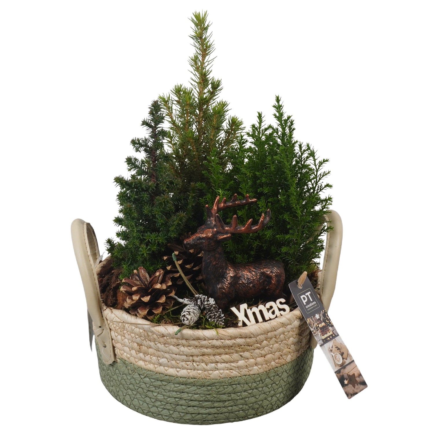 PTCWW6886 Arrangement Winter in rieten mand, D 21 cm