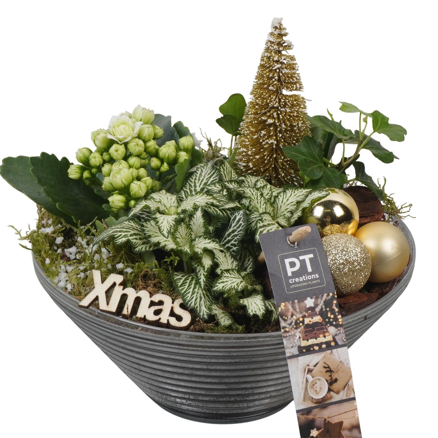 PTCHG5711 Arrangement Christmas Gold in glas schaal, D 19 cm
