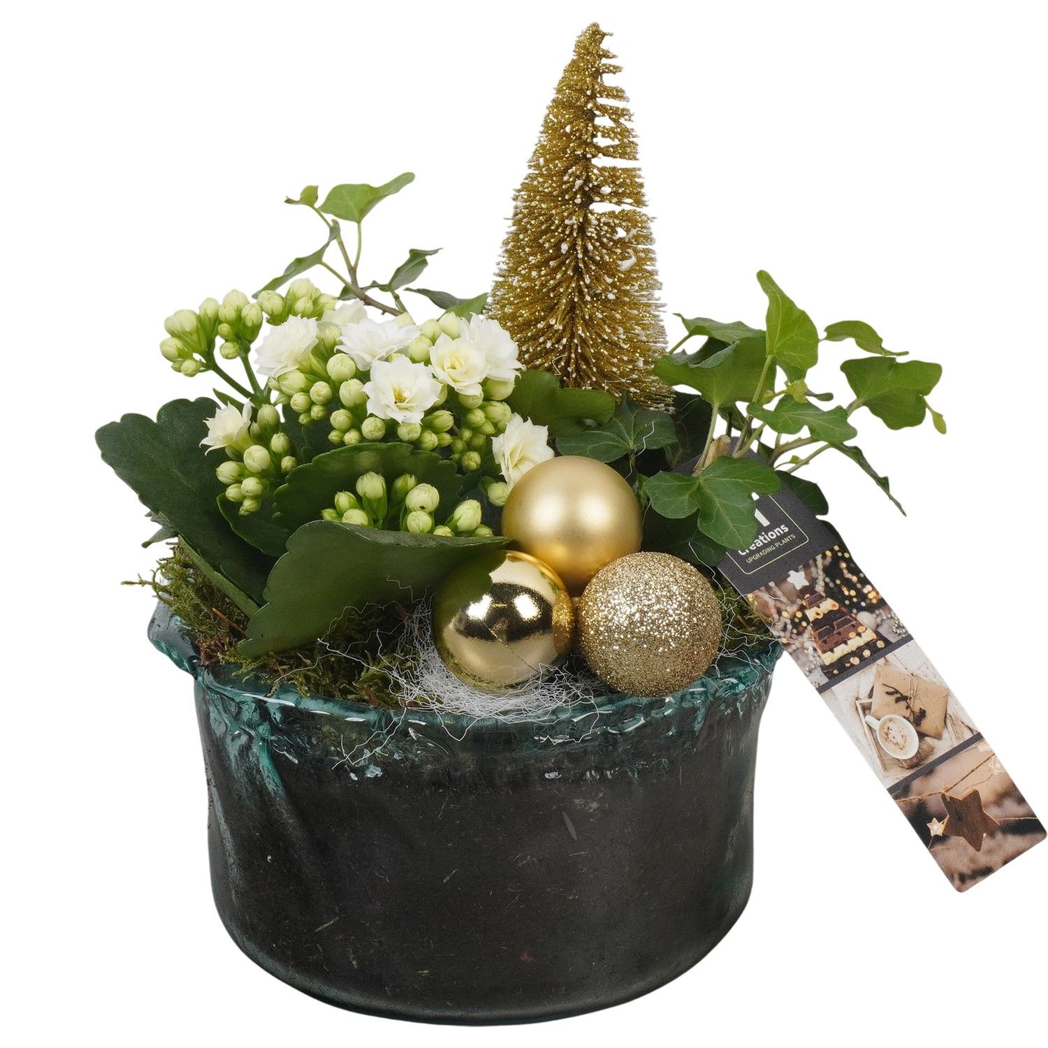 PTCHG5724 Arrangement Christmas Gold in glas schaal, D 15 cm