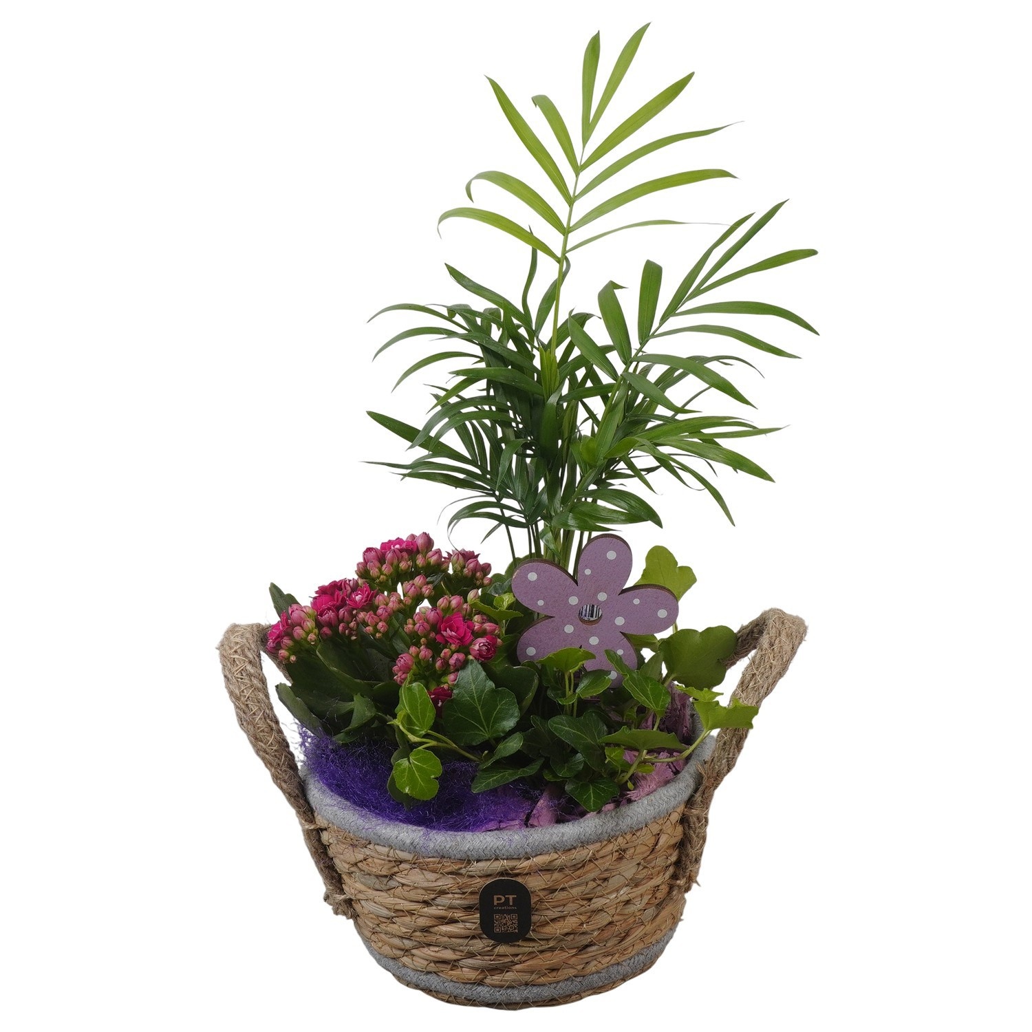 PTIB5239 Arrangement Indoor in rieten mand, D 15