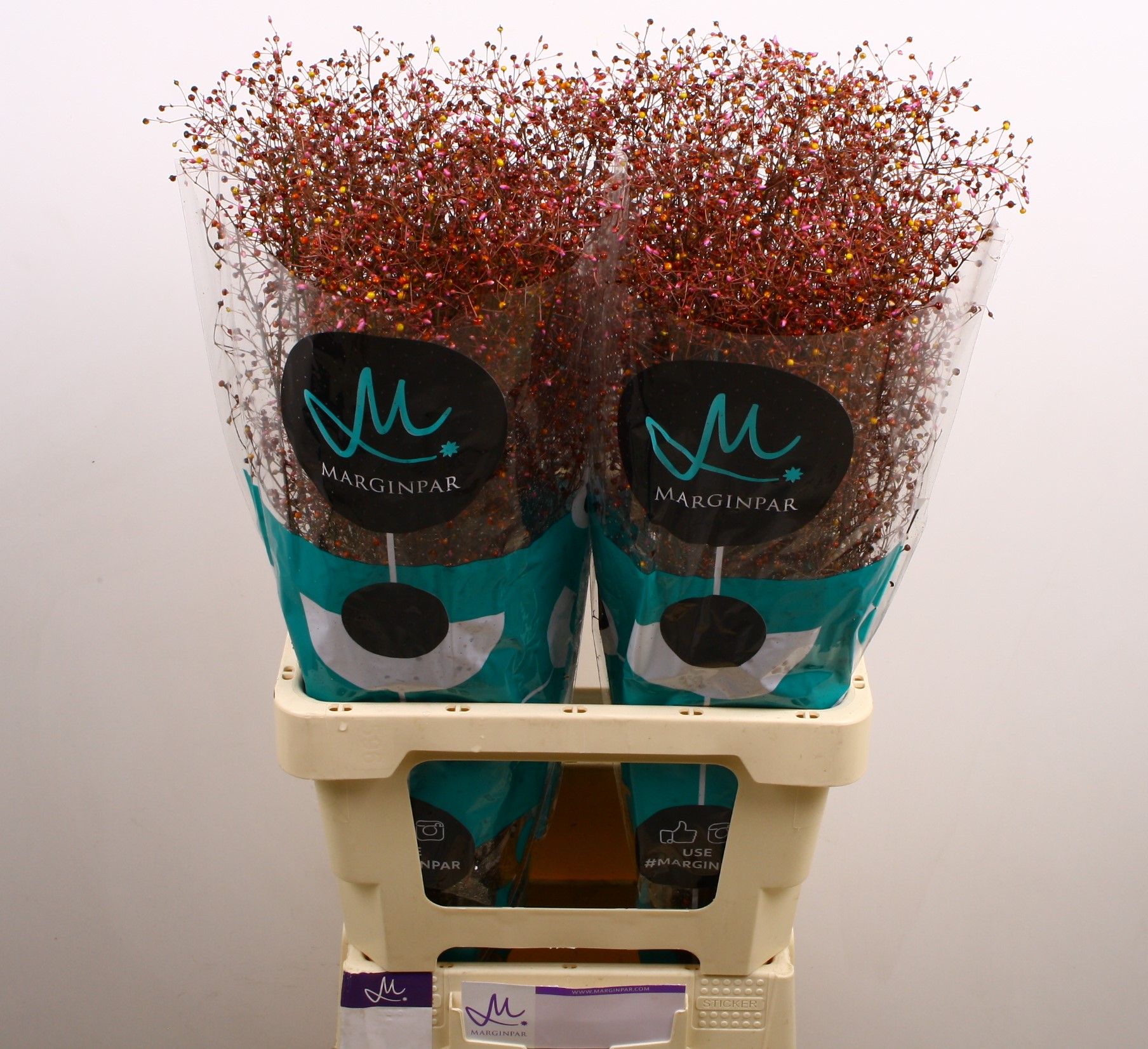 Талинум Лонг Джон 70, шт.