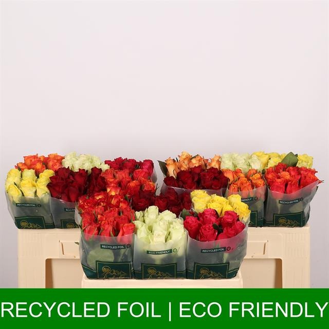 Роза од. Микс в баке 50, шт.