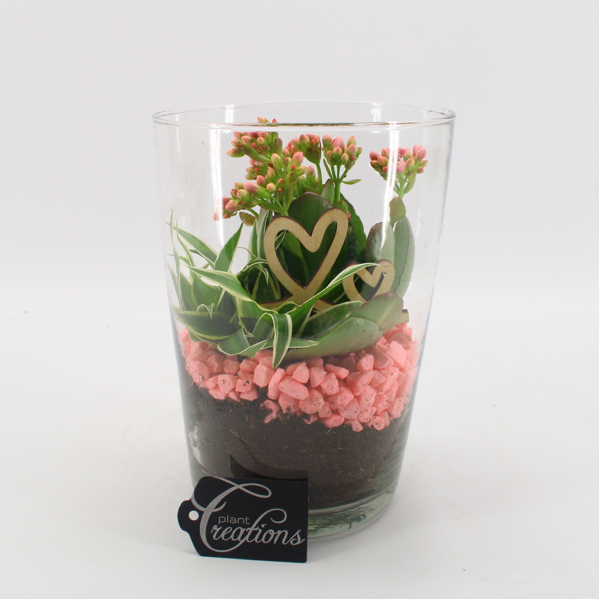 FDRM-2604RZ Romantic Fundamentals, D 14