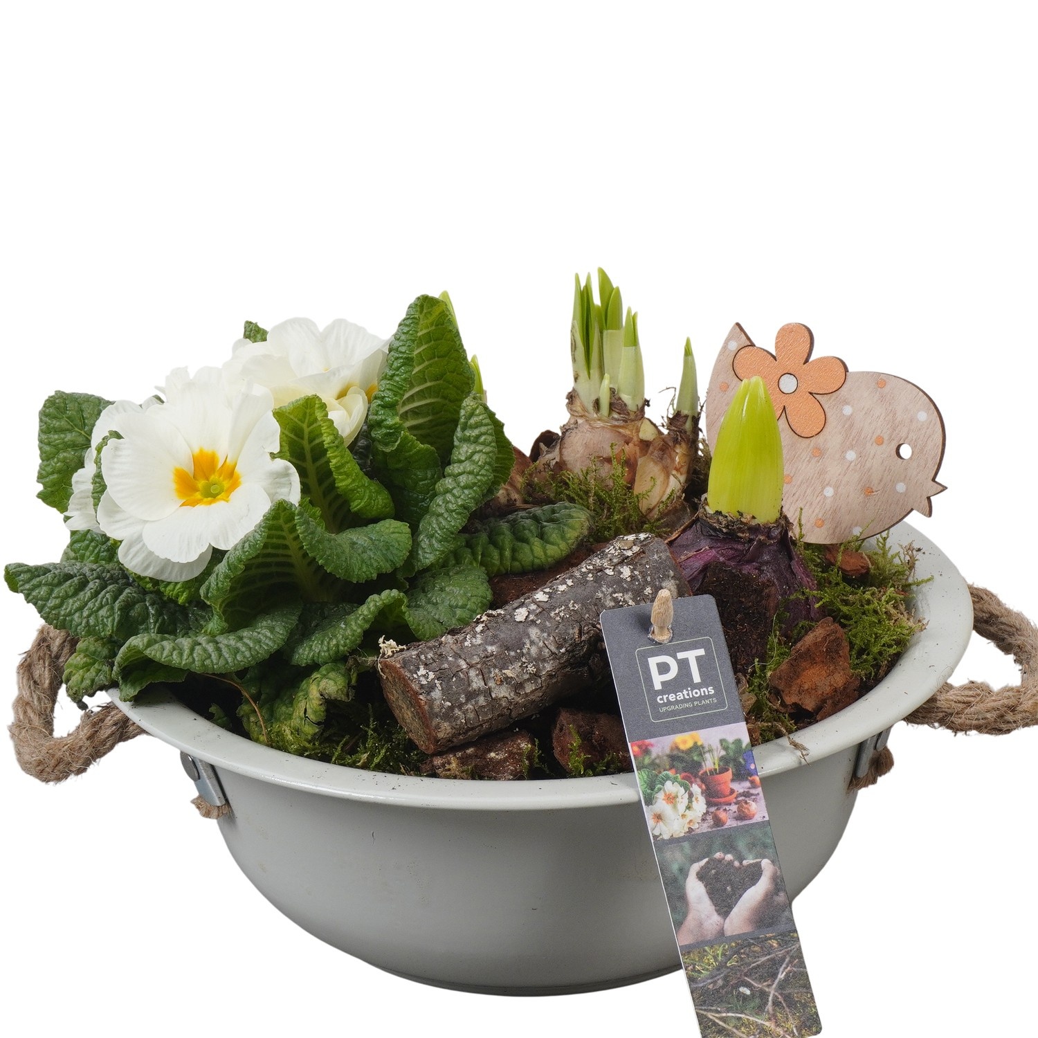 PTBM3717 Arrangement Flower Bulbs Mix in metalen schaal, D 24