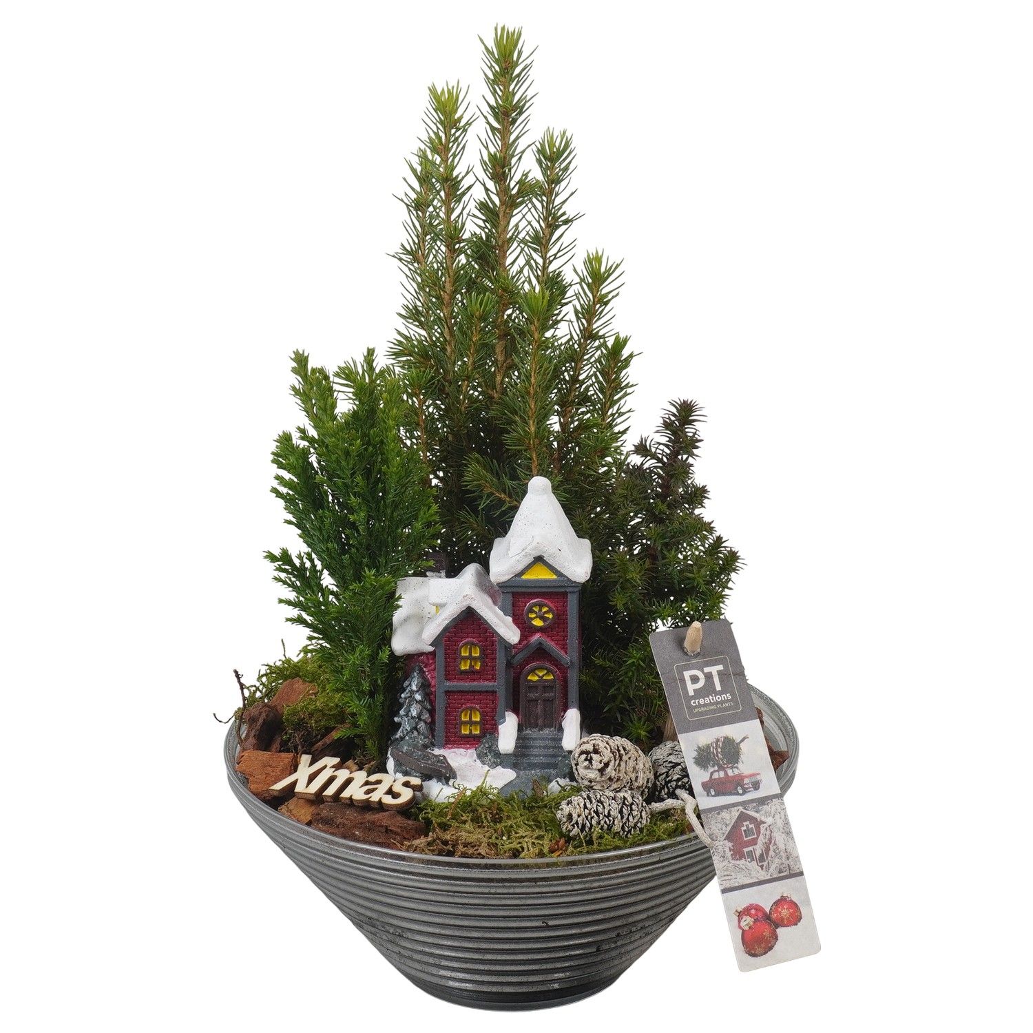 PTCWW6809 Arrangement Winter in glas schaal, D 19 cm