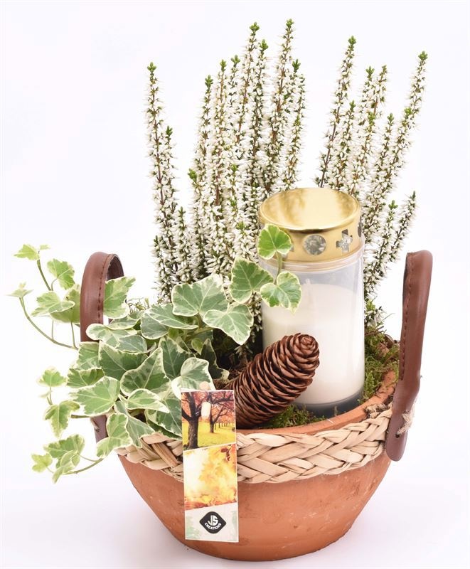 Cement schaal br. met wilgrand 22cm, D 18