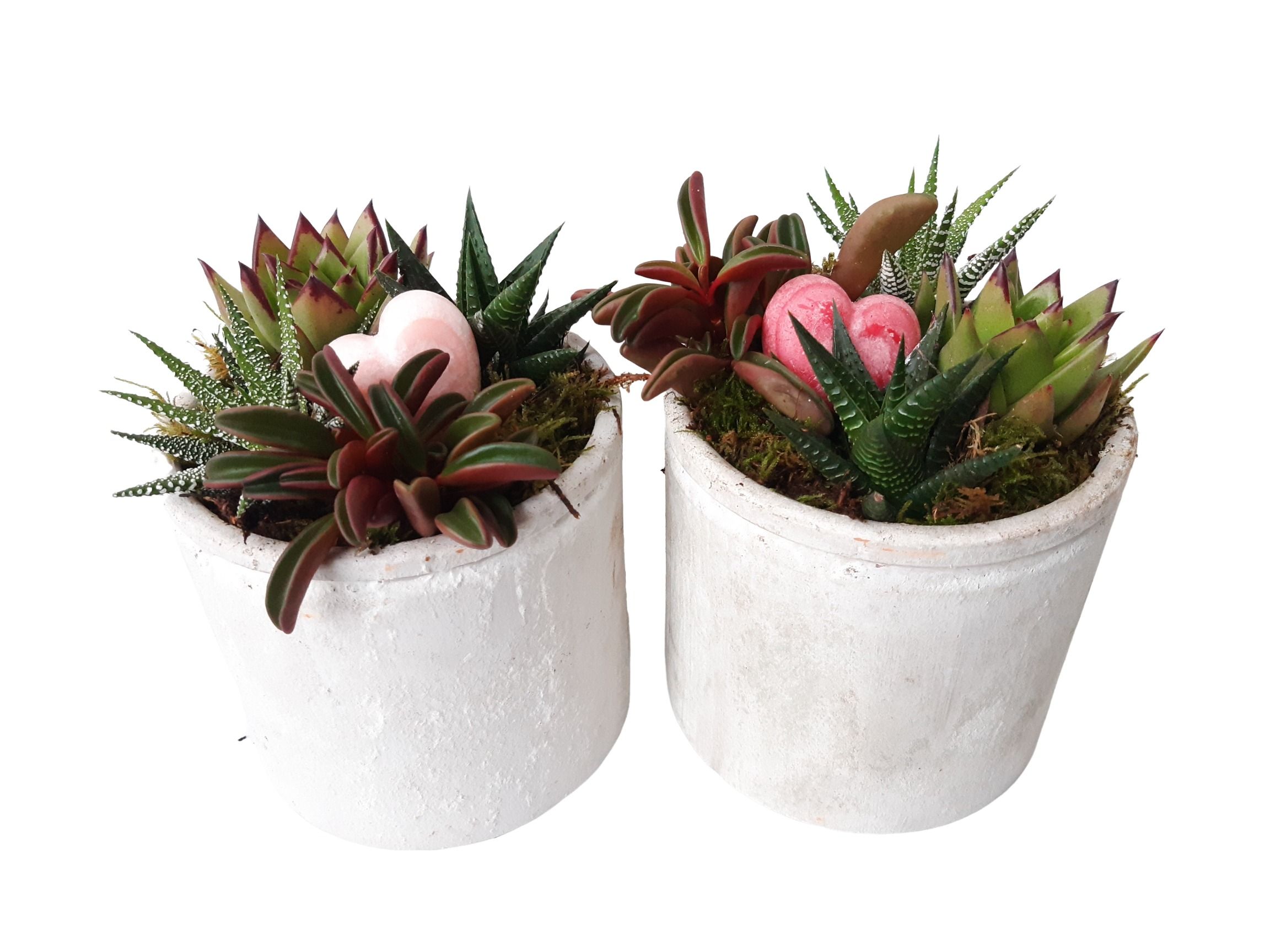 PP14HMXHRT Planter Pot Keramiek 14cm mini plant mix Aroma Heart, D 14