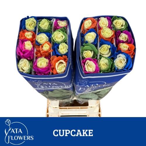 Роза од. Овериг Крашеная (краш. ) 70, шт.