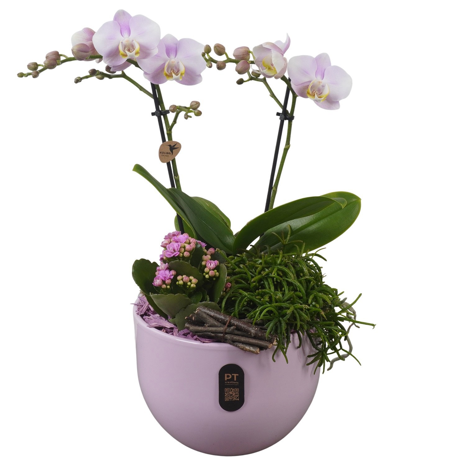 PTIB5138 Arrangement Indoor in keramiek pot, D 19